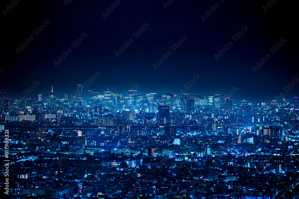 Fototapeta premium 東京都心のビル群の夜景