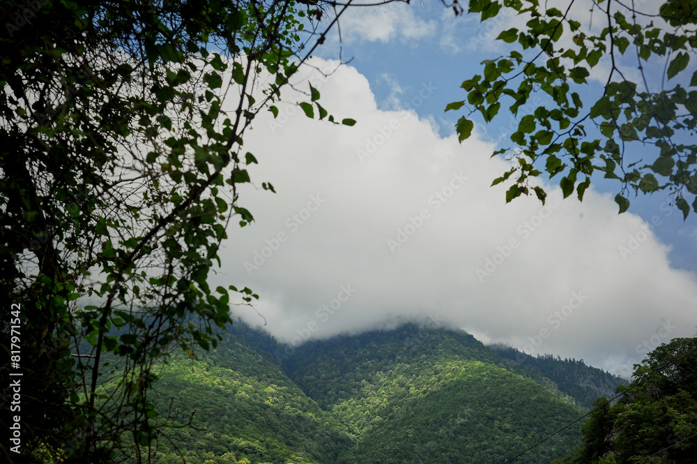 Clouds in the green peaks of the mountains. Abkhazia, the country of the soul. Clouds in the green peaks of the mountains. Abkhazia, the country of the soul.