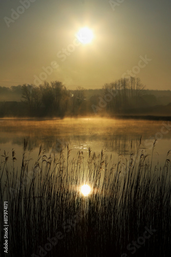 An der Schlei