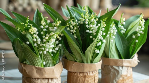 Bouquet of lily valley flowers. Floral Spring template for design greeting card. Beautiful celebration Web banner to mother s day  Women s Day  birthday