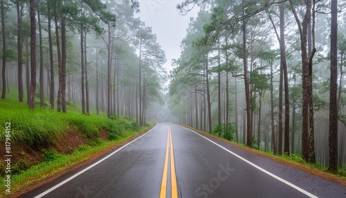 natural background of empty route and journey amidst the pine forest and misty in rainy season at phu hin rong kla national park pitsanulok province in thailand photo