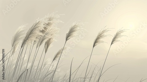 Golden sunlight illuminating delicate wheat stalks in a tranquil field creating a peaceful natural scene