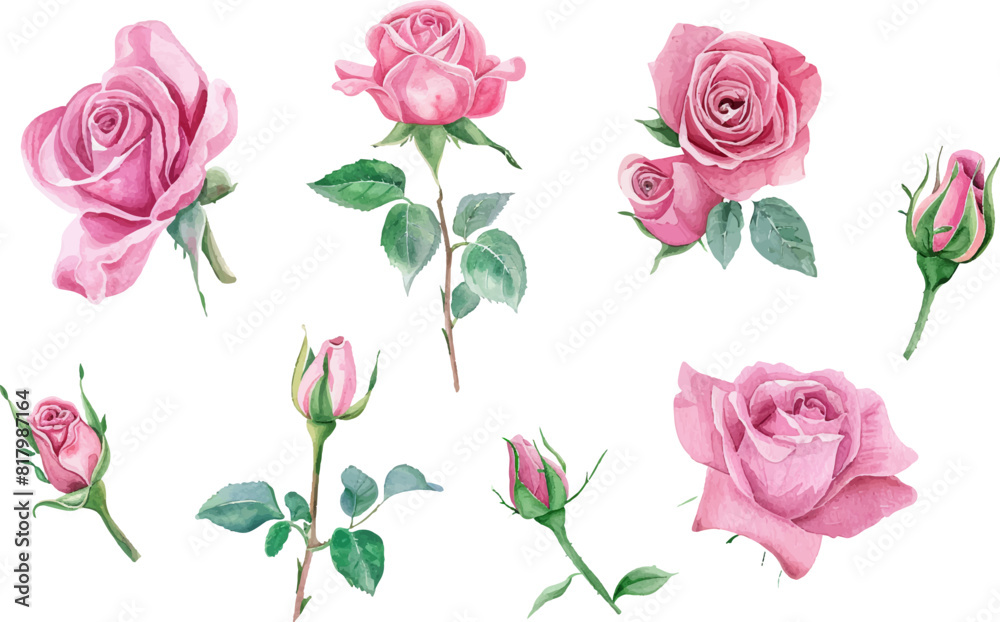 Set of watercolor bouquet of pink roses Set of watercolor bouquet of pink roses