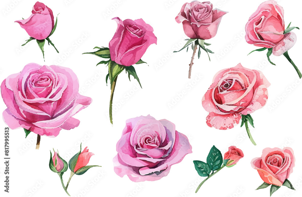 seamless pattern of roses seamless pattern of roses