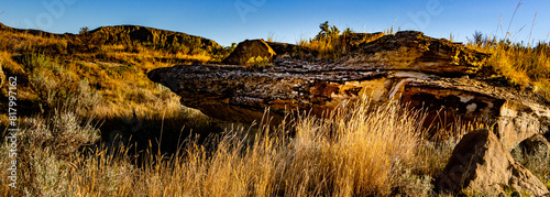 Dinosaur Provincial Park Alberta Canada photo