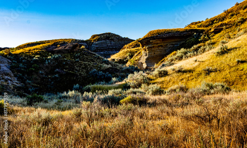 Dinosaur Provincial Park Alberta Canada photo