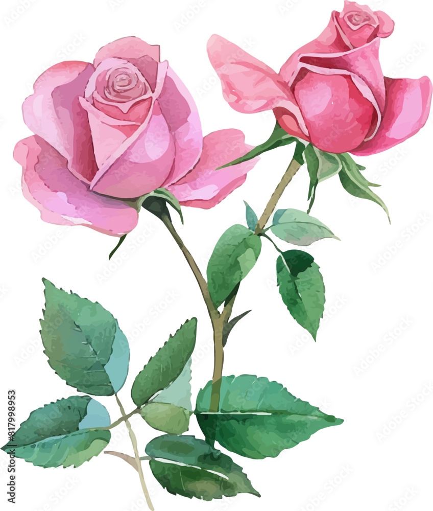 watercolor bouquet of pink roses watercolor bouquet of pink roses