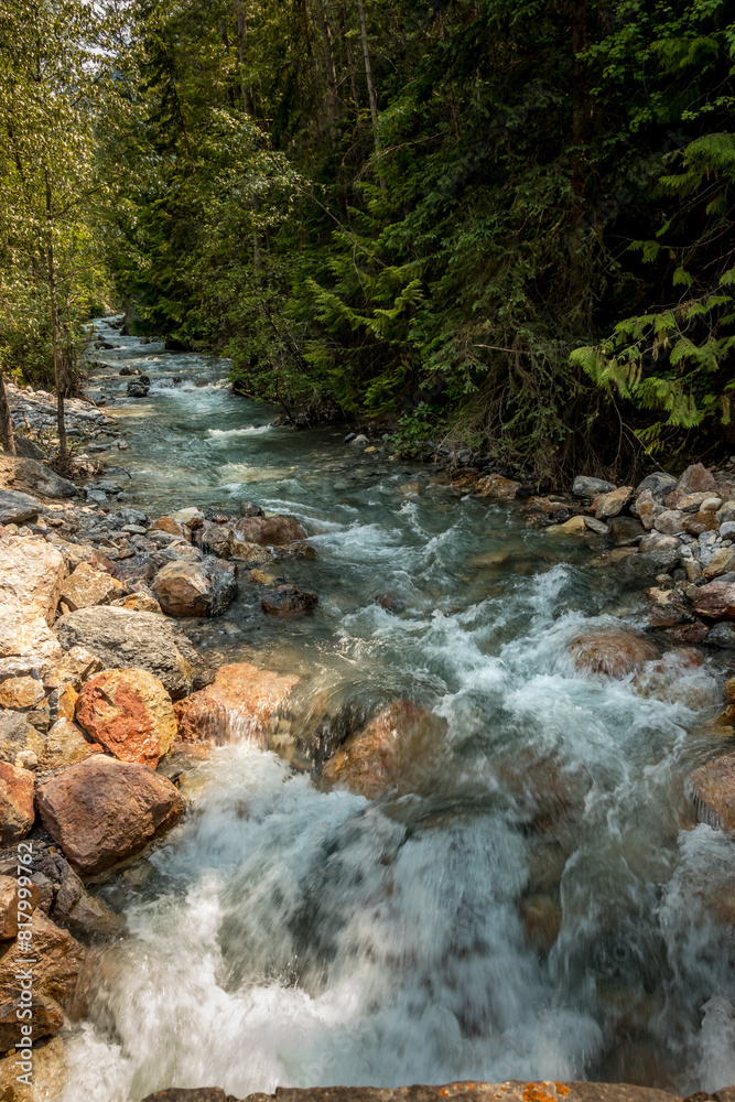 Roadside creek Banff Windermer HWY Kootenay National Park British Columbia Canada