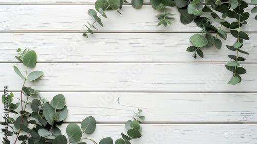 Eucalyptus branches and leaves on wooden rustic white background. Minimal background eucalyptus on white board. Flat lay, top view, copy space