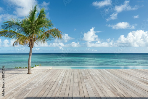 A wooden deck overlooks the ocean  with a lone palm tree swaying in the breeze under the blue sky