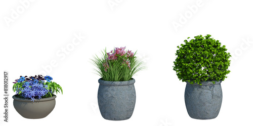 3d rendering Nature object tree isolated  white  background