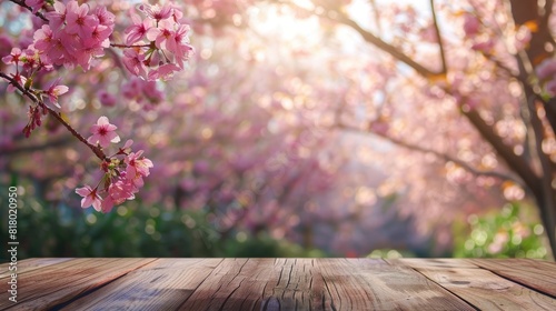 Table Flower. Wooden Table Setting with Sakura Flowers in Park Bokeh Background