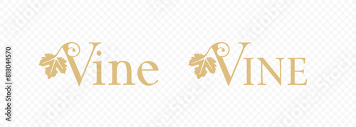 Grapevine with grape leaf vector logo design