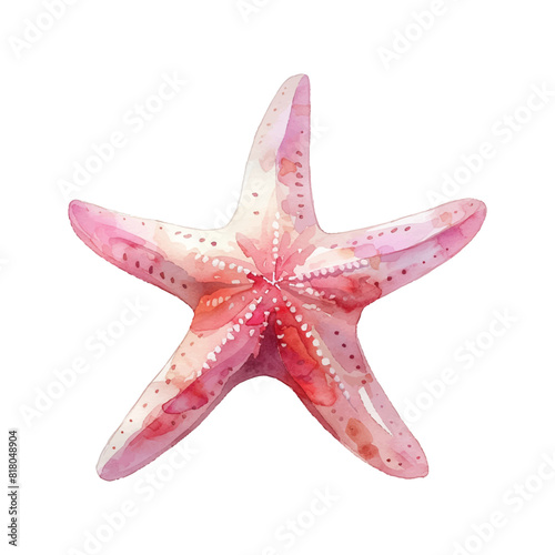 Pink starfish vector illustration Oceanic wildlife art Exotic reef animals Watercolor fish Marine decoration Nautical design Clipart for design logo or decoration sea star
