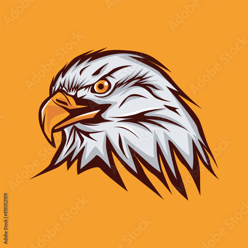 Eagle Vector Head Icon Illustration