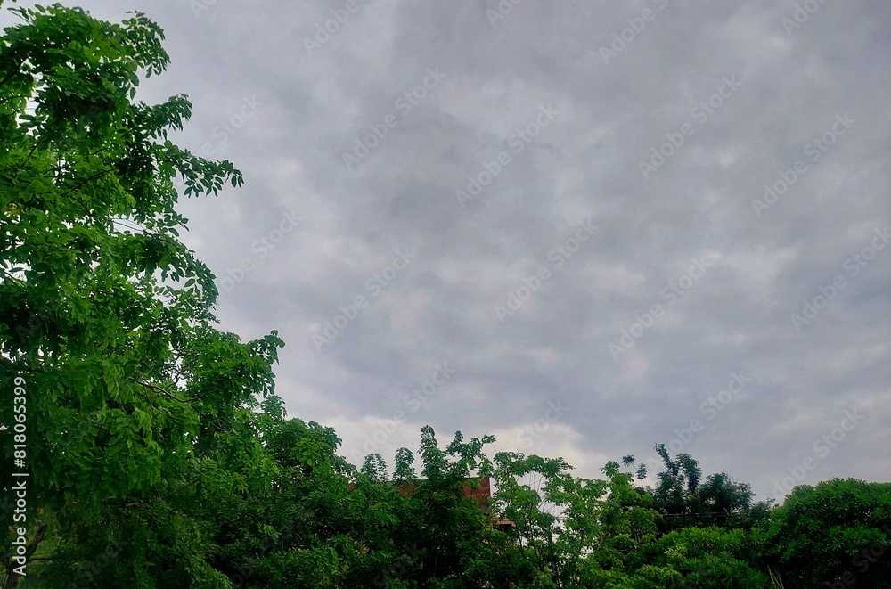 Obraz premium sky and clouds