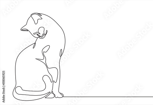 Photography Continuous one line drawing of cat