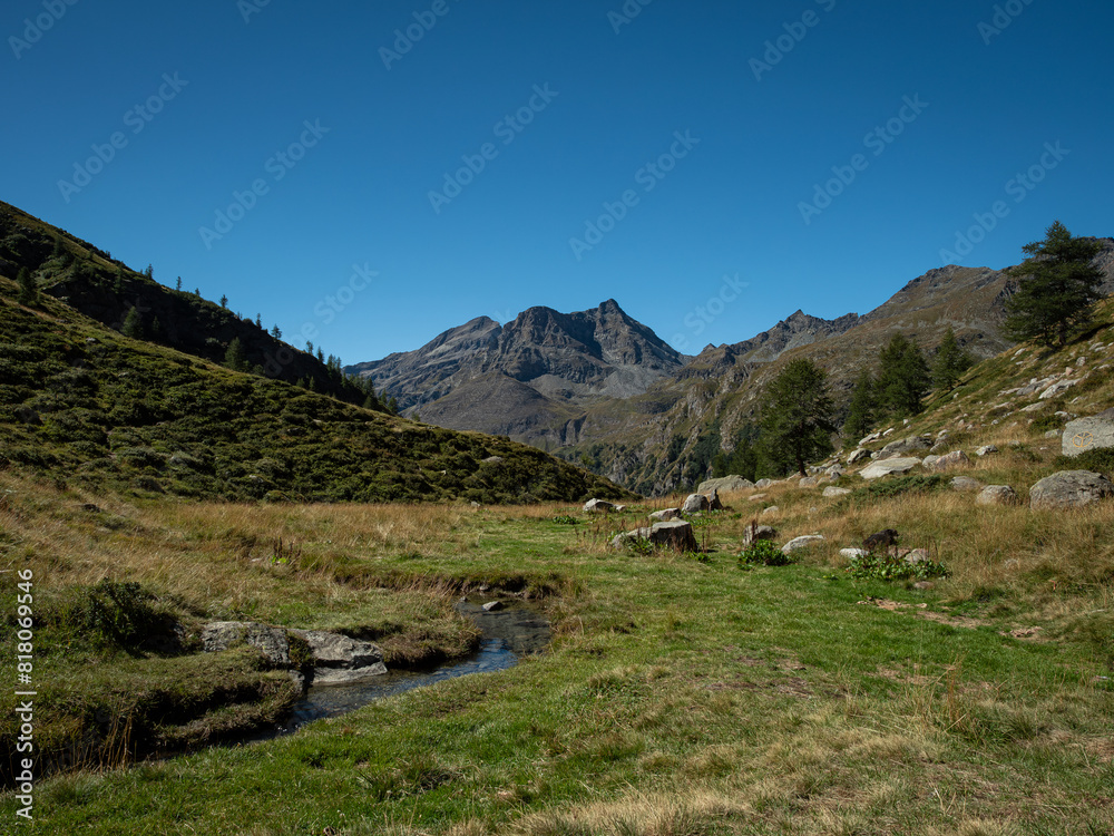 Green valley with grass, forest and water stream, in the Lys valley, above Staffal and Gressoney la Trinite, in Valle d'Aosta, Italy. Pennine alps Green valley with grass, forest and water stream, in the Lys valley, above Staffal and Gressoney la Trinite, in Valle d'Aosta, Italy. Pennine alps