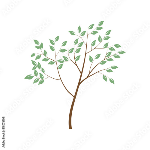  Tree with green foliage. Landscape design, nature, forest of garden symbol.