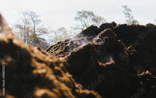 Agricultural waste for biogas production outside. 