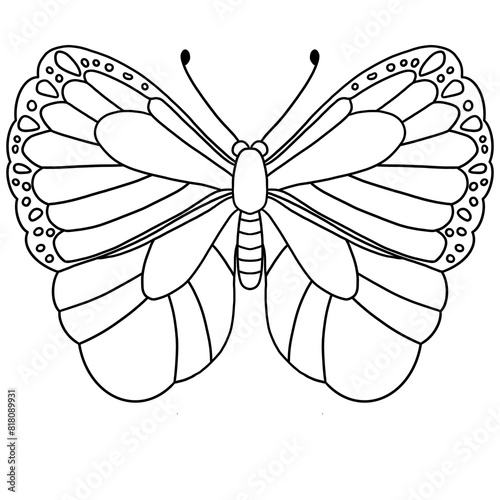 Butterfly Line Art