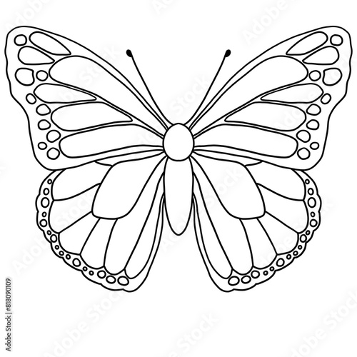 Butterfly Line Art