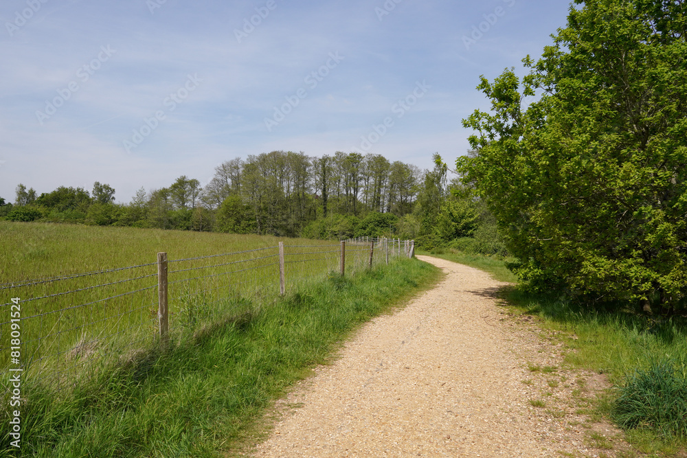 green countryside fields with gravel track. peaceful walking location green countryside fields with gravel track. peaceful walking location