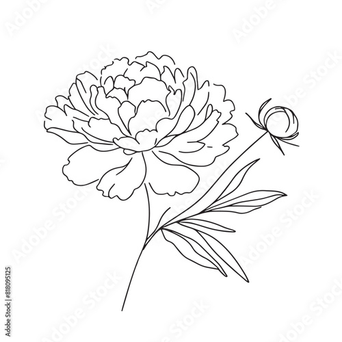  peony in one line art drawing style. Vector illustration