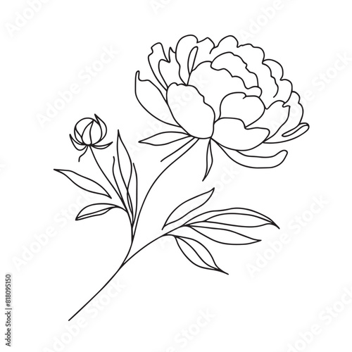  peony in one line art drawing style. Vector illustration