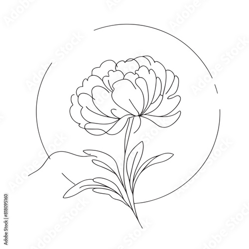  peony in one line art drawing style. Vector illustration