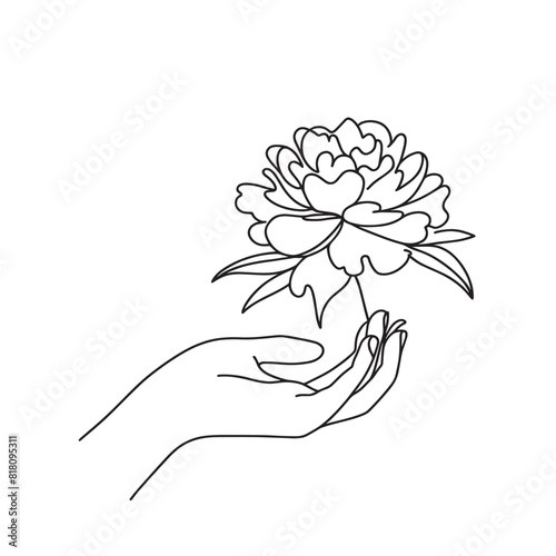 peonies in one line on a white background. botanist flowers. flora aesthetic flowers in one line