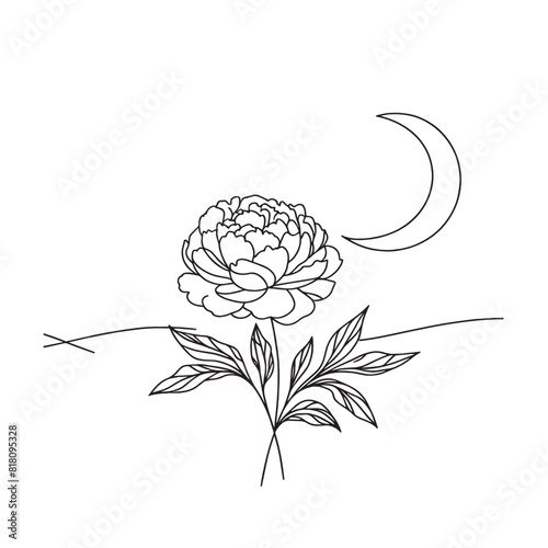 peonies in one line on a white background. botanist flowers. 