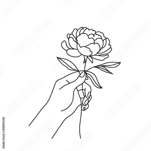 peonies in one line on a white background. botanist flowers. 