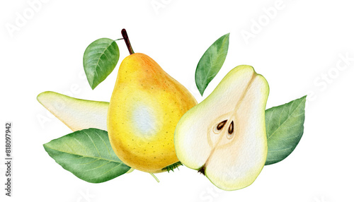 Fresh ripe pears with green leaves. Hand drawn watercolor illustration isolated on white background
