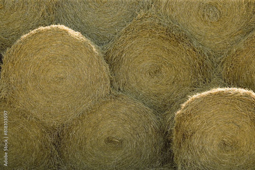 Bales Of Hay