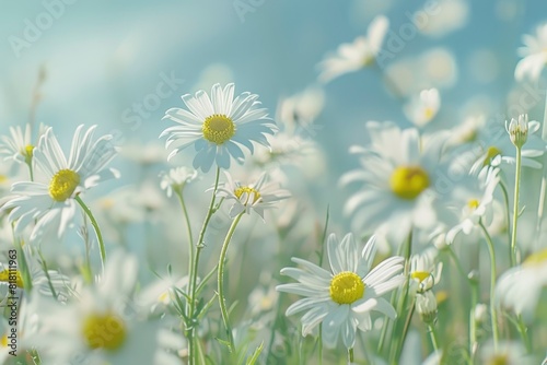 A beautiful  sun-drenched spring summer meadow. Natural colorful panoramic landscape with many wild flowers of daisies against blue sky. A frame with soft selective focus with generative ai