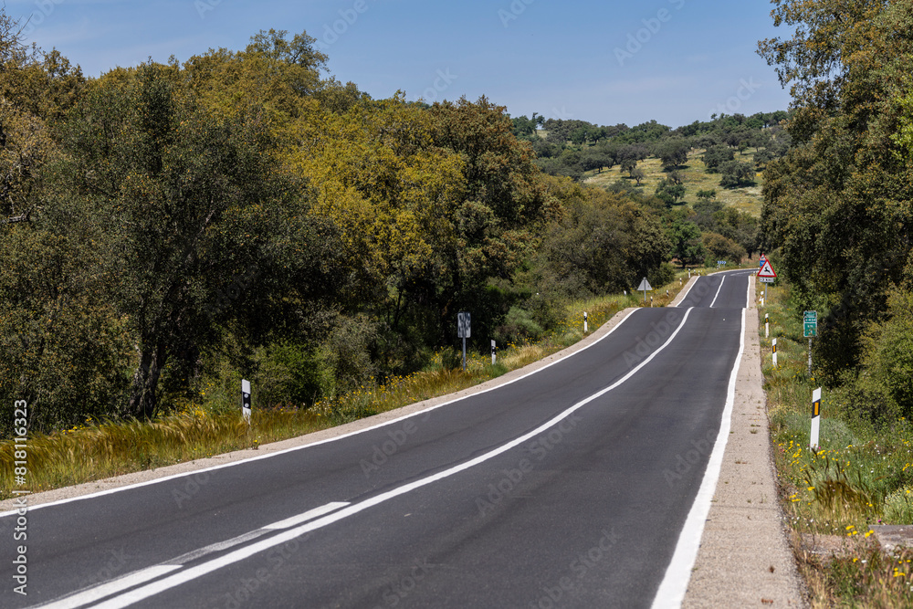 lonely road through the forest, near Cala -Sierra de Los Gabrieles-, Huelva, Andalucia, Spain