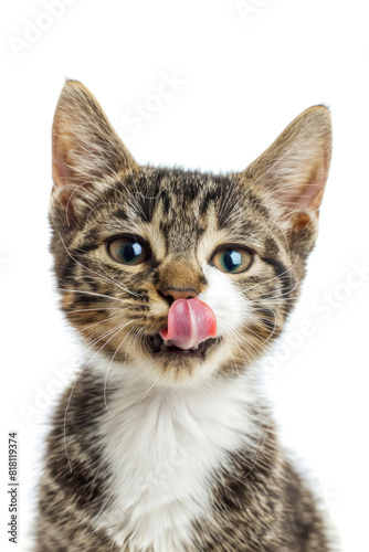 A cat making a funny face with its tongue out, isolated on a white background © Venka