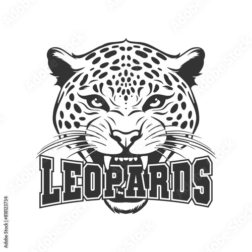 Leopards Illustration Clip Art Design Shape. Mascot Silhouette Icon Vector.