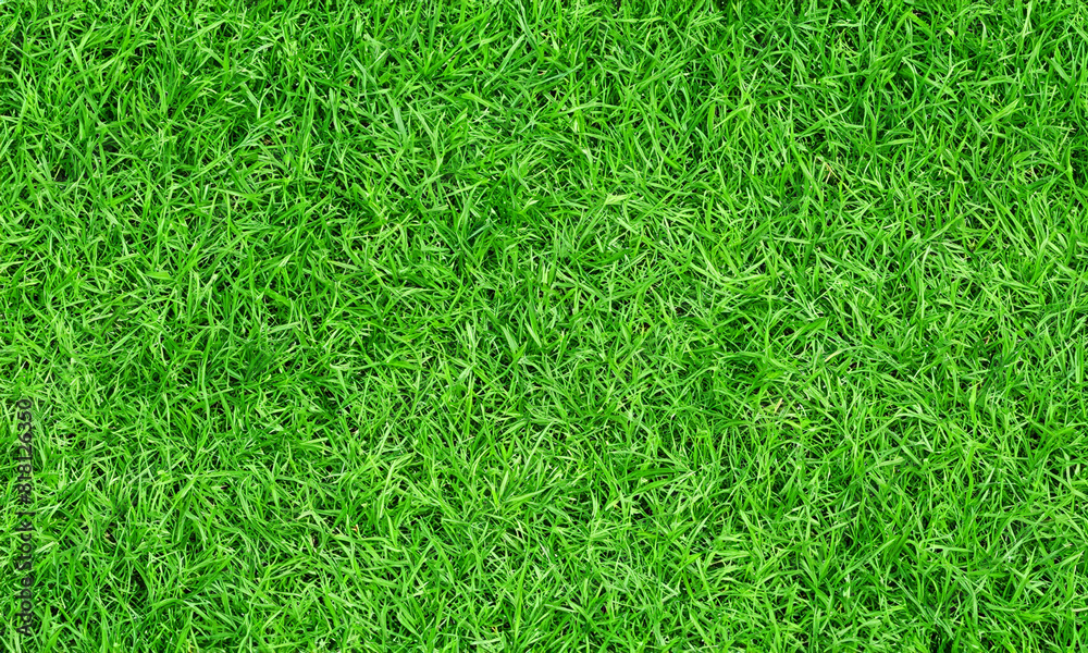 grass background design .Abstrsct background grass background design .Abstrsct background