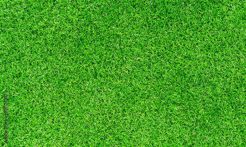 Wallpaper Mural grass background design .Abstrsct background  Torontodigital.ca