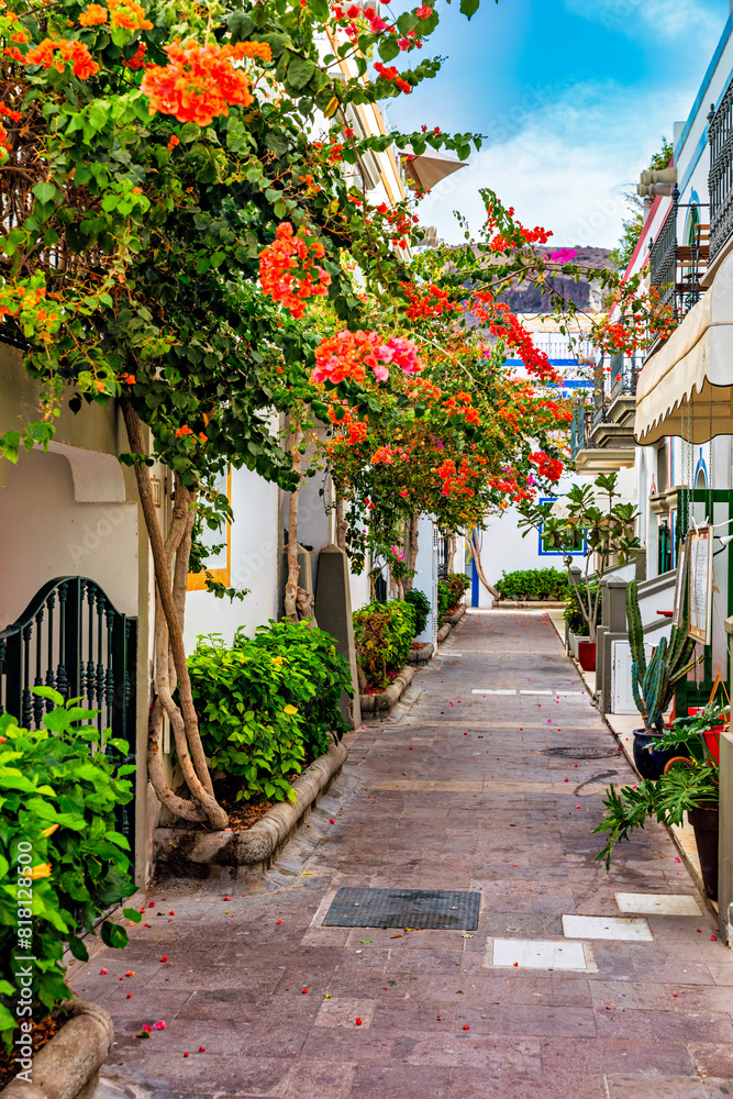 Fototapeta premium Street with blooming flowers in Puerto de Mogan, Gran Canaria, Spain. Favorite vacation place for tourists and locals on island. Puerto de Mogan with lots of bougainvillea flowers, Canary Island.