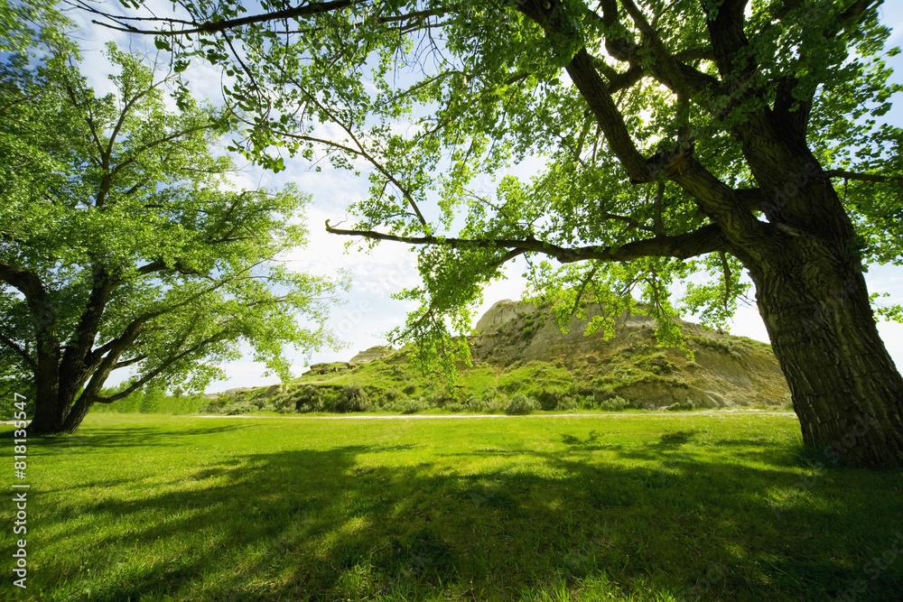 Green Trees