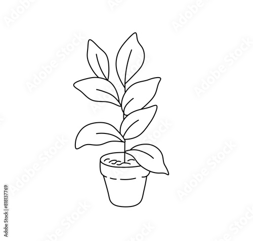 Vector isolated houseplant in a pot doodle colorless black and white contour line easy drawing