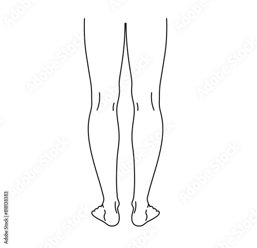 Vector isolated legs rear view colorless black and white contour line easy drawing