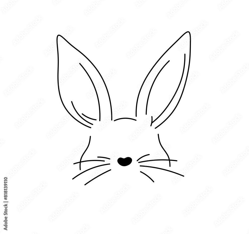 Vector isolated bunny ears and nose with whiskers head muzzle colorless black and white contour line easy drawing