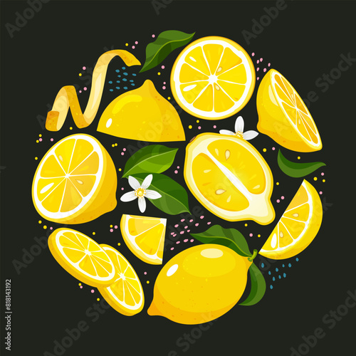 Vector freshness lemon fruits whole, half, slices, lemon cedar, blooming flowers, and leaves in round shape with decorative dottes isolated on dark background.
 photo