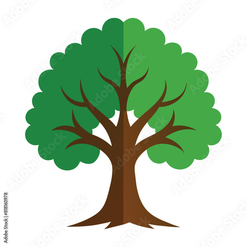 Oak tree icon vector design