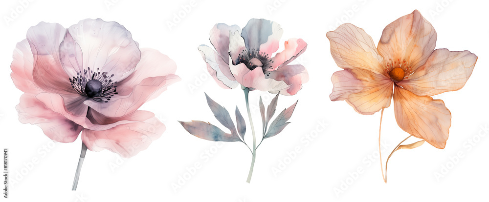 Watercolor Illustration of Wildflowers.