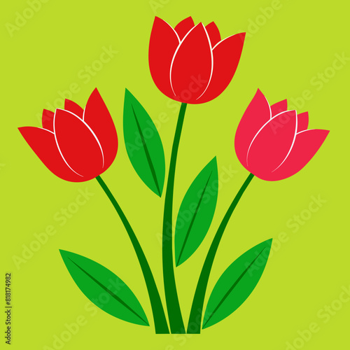 illustration of tulips